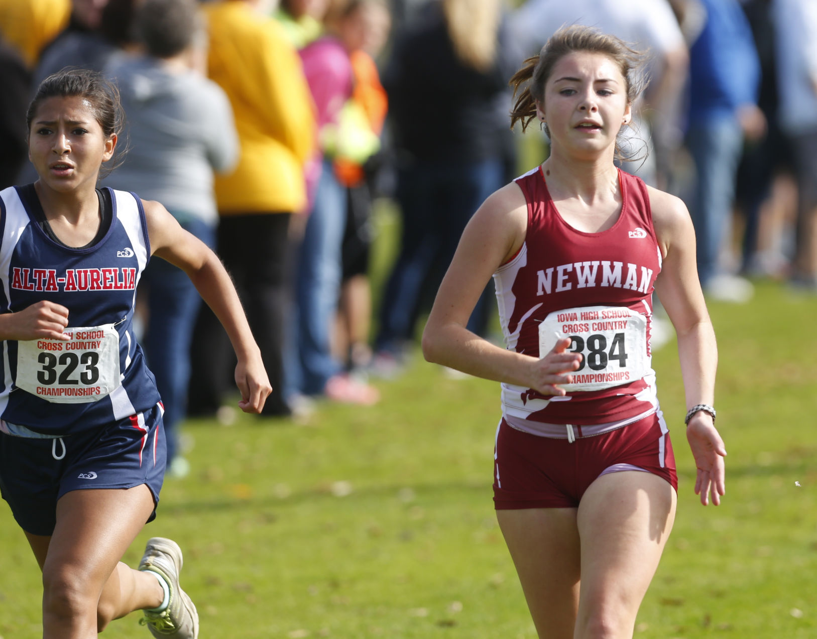 2016 State Cross Country Meet